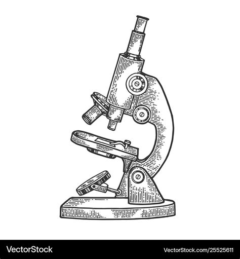 Microscope sketch engraving Royalty Free Vector Image