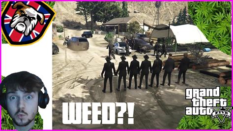 Gta Rp Growing Weed Police And Gangs Turn Up Gbgc Fivem Server