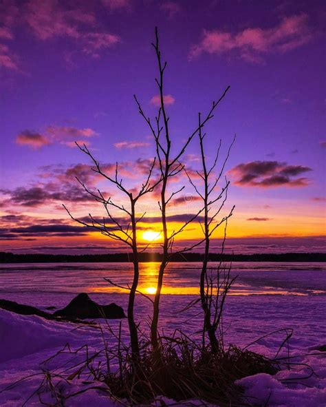 Colorful Winter Evening Sunset Stock Image Image Of Winter Capture