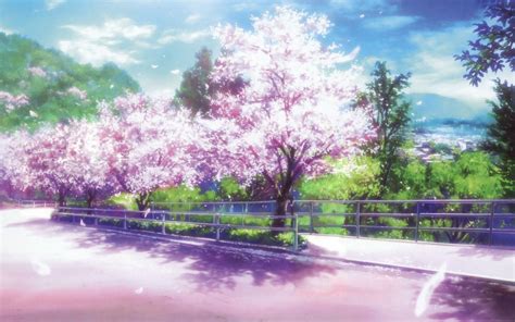 Sakura Tree Background Anime Cherry Blossom Wallpaper 72 Images