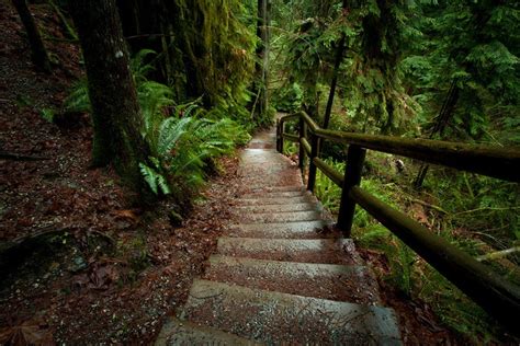 22 Best Images About Cottage Stairs On Pinterest Hiking