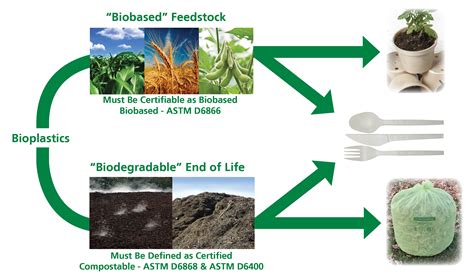 Structure Of Biodegradable Plastic