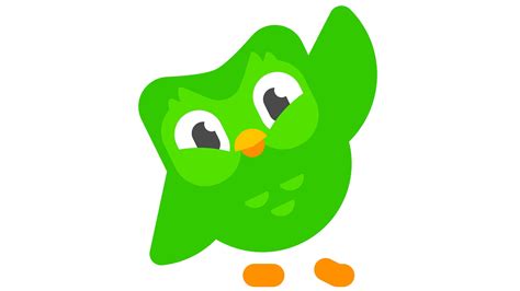 Duolingo Logo Histoire Signification De Lemblème