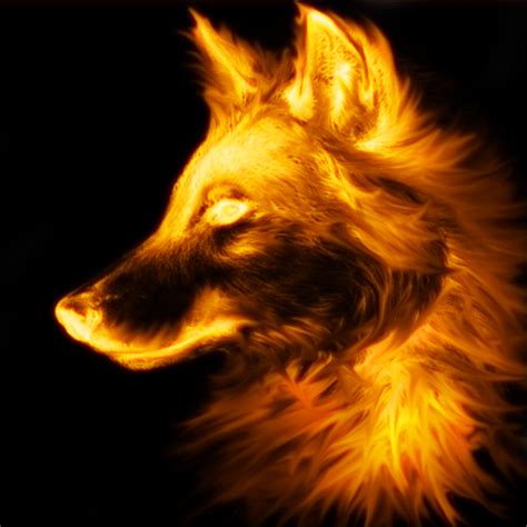 Fire Wolf Wolf Photos Wolf Pictures Dog Tattoos Animal Tattoos