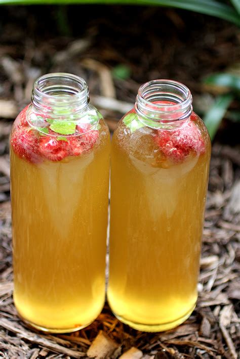 How To Make Bubbly Fruit Flavored Kombucha Cultured Food