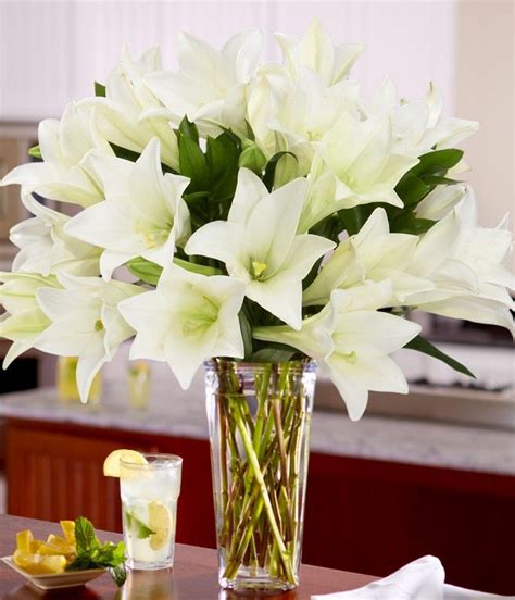 White Easter Lilies Orchid Flower Types Of White