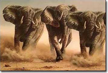 A general scamper of animals on the western prairies, generally caused by a fright bartlett from… see definitions of stampede. An Elephant Charge or Ant Nest? | Orrin Woodward on LIFE ...