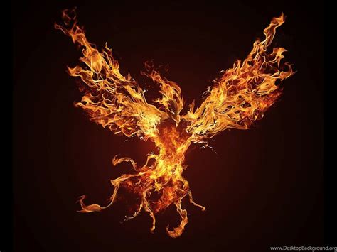 Black Phoenix Wallpapers Wallpaper Cave