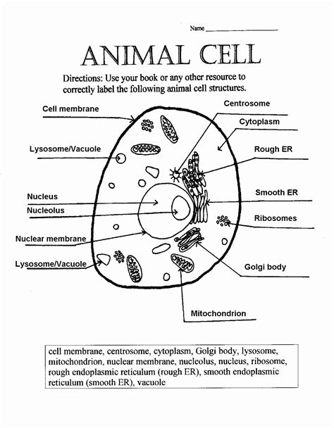 Label The Parts Of An Animal Cell Worksheet Answer Key