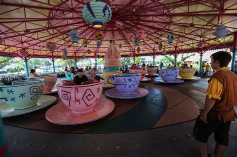 Read on for some hilarious trivia questions that will make your brain and your funny bone work overtime. Magic Kingdom Rides by Picture Quiz - By Aaron34Heron