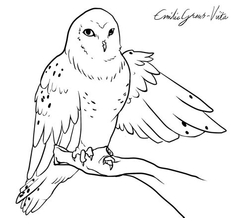 Detailed Snowy Owl Coloring Pages - All Red Mania