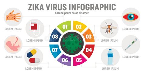 virus de zika infographic style plat illustration de vecteur illustration du maladie