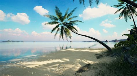 Brushify - Tropical Pack in Environments - UE Marketplace