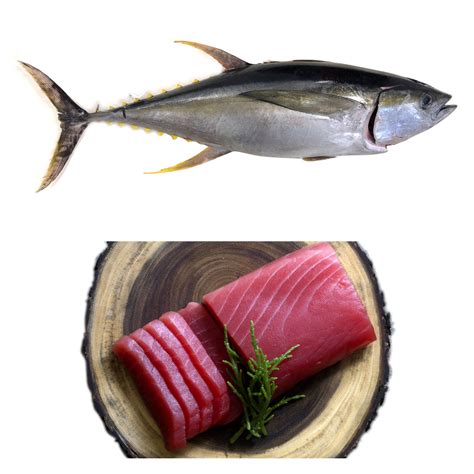 Frozen Yellowfin Tuna - Hilo Fish Co.