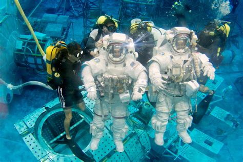 Astronauts lead space missions, work with new technologies, and conduct research. How Do Astronauts Train For Space | DK Find Out