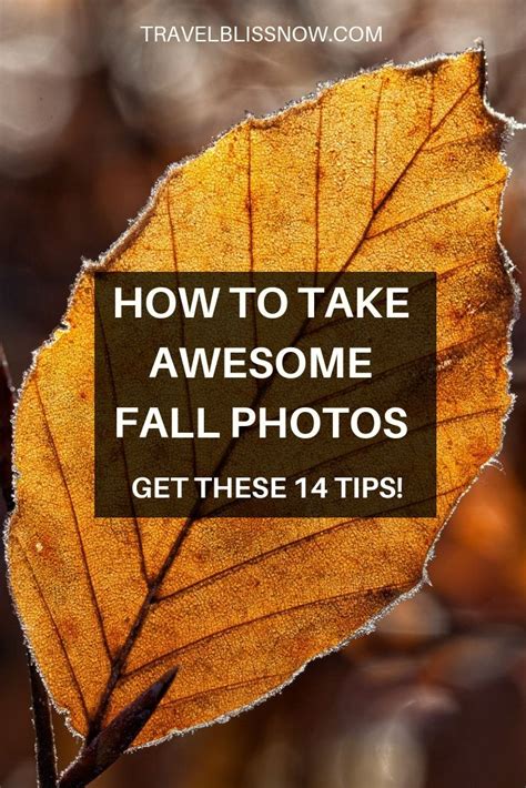 Fall Landscape Photography Travel Photography Tips Photography Basics