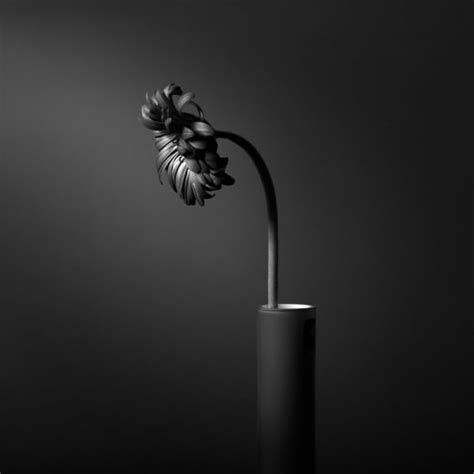 17 Black And White Still Life Photography Examples