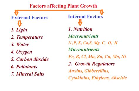 Factors Affecting Plant Growth External Factors And Internal Factors