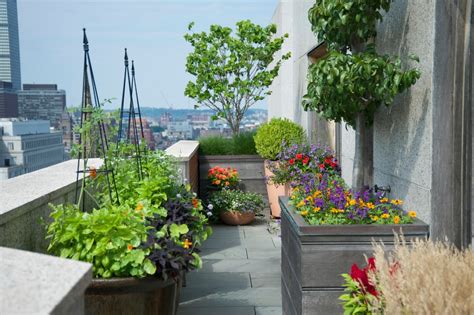 If you live in an apartment or a house with no yard, rooftop gardens can let you cultivate ornamental trees and. Boston, MA Penthouse Rooftop Garden - Contemporary - Deck ...