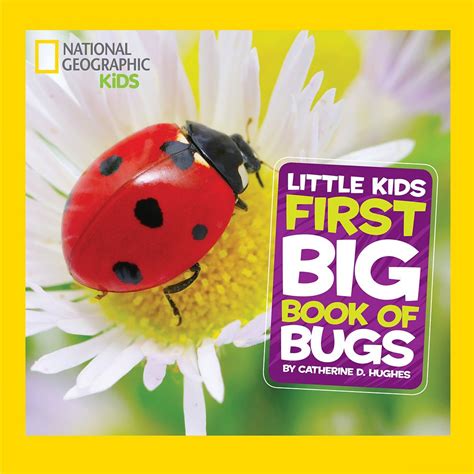 Little Kids First Big Book Of Bugs National Geographic Shopdisney