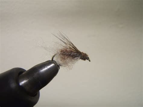 Rvrwader Fly Tying And Fly Fishing Scored Some Aunt Lydias