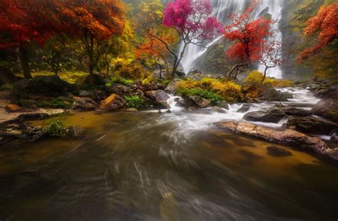 Wallpaper Trees Landscape Forest Waterfall Nature Reflection Long Exposure River