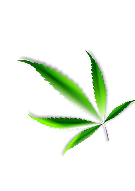 Download Marijuana clipart pdf, Marijuana pdf Transparent FREE for ...