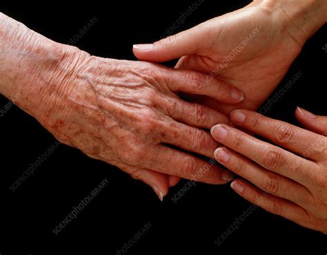 View of young hands holding an elderly hand - Stock Image - P701/0108