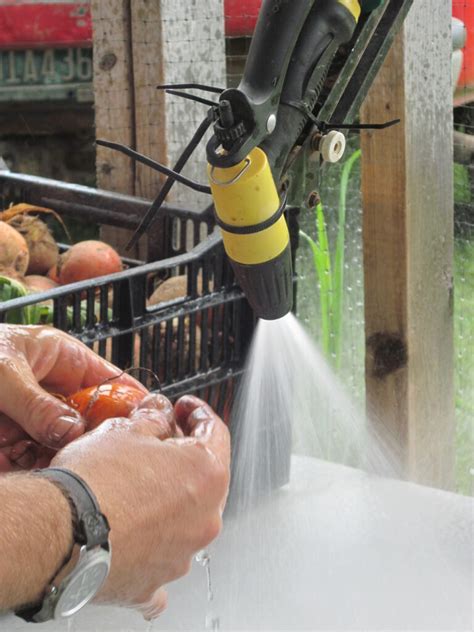 Here's a quick guide with simple tips that use. Vegetable Wash Sinks, Tanks, Tubs and Basins: Upgrades for ...