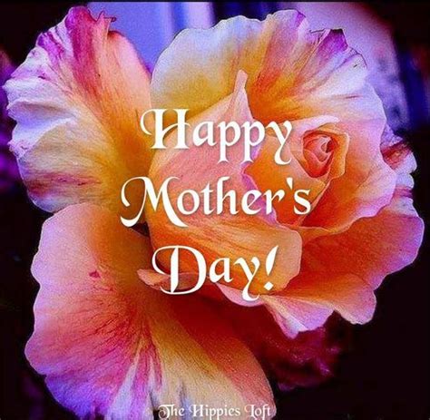 Whether your mother appreciates the gentle beauty of a. Happy Mother's Day Flower Pictures, Photos, and Images for ...