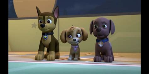 Paw Patrol Chase X Skye Collection Pups And The Werepuppy Wattpad