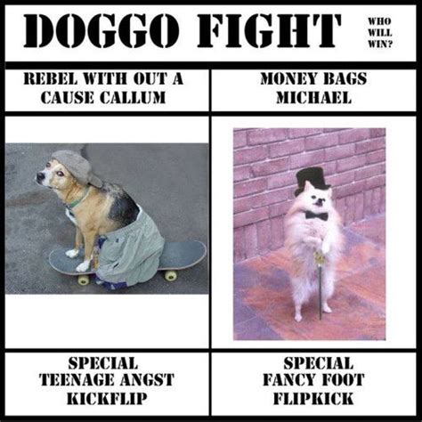 Doggo Fight Memes