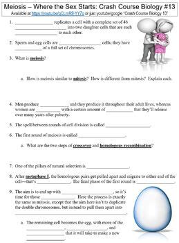 Some of the worksheets for this concept are meiosis and mitosis answers work, meiosis review work, biology practice test 9 answer key 112008 1 mitosis e, meiosis. Crash Course Meiosis Worksheet Answer Key - Geotwitter Kids Activities