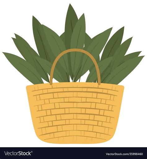Basket Full Green Leaves Royalty Free Vector Image