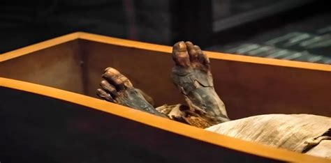 2500 Year Old Egyptian Mummy Found At Sydney University Tourism News Live