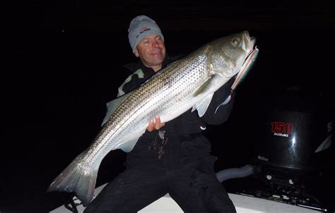15 Best Images About Striper Fishing On Pinterest Fishing Charters