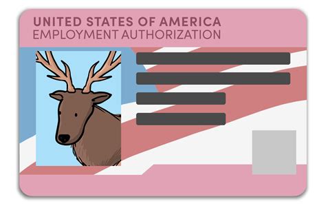 Form i765 requires an ead category code to judge your eligibility. ID2021 - ID Options for Washingtonians