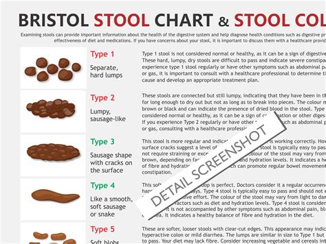 Discover Bristol Stool Chart Cake Super Hot Awesomeenglish Edu Vn