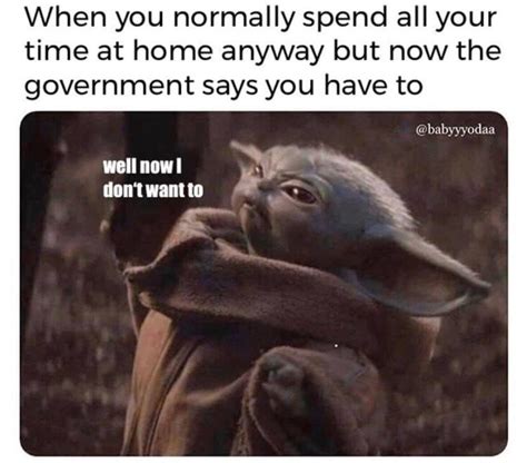 But I Want It Now Meme
