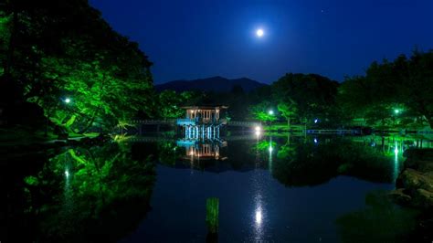 Nara Park At Night Japan Backiee