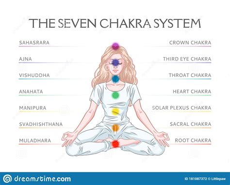 Seven Chakra System In Human Body Infographic With Meditating Yogi