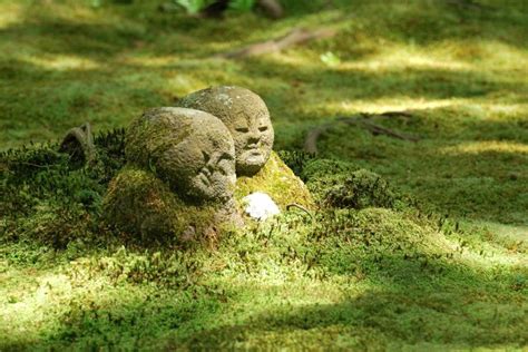 Moss Covered Jizō Buddha Statues Sanzen In Temple And Moss Garden