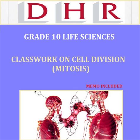 Cell Division I Biology Visionlearning