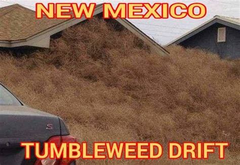 12 Funny New Mexico Memes That Only A New Mexican Would Understand I