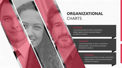 Organizational Chart Templates Organizational Chart Design Proposal