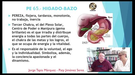 The liver and the spleen can increase in size. HIGADO - BAZO PAR BIOMAGNÉTICO - Biomagnetismo Jorge Tapia ...