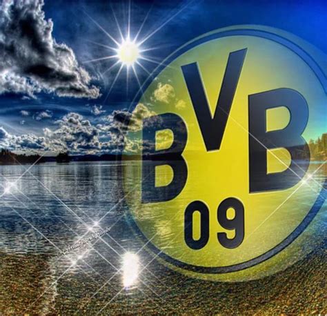 Pin von Horst Walter auf Zukünftige Projekte | Bundesliga, Bvb dortmund