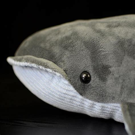 Gray Whale Plush Toy 40cm 155 Inches Etsy