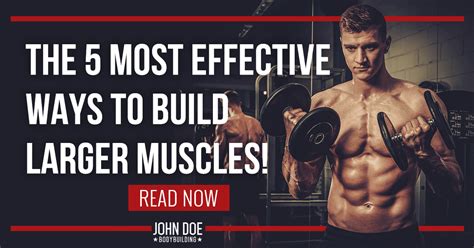 The 5 Most Effective Ways To Build Larger Muscles