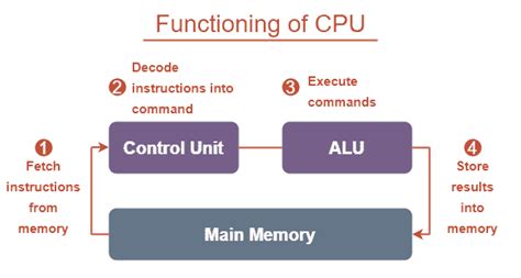 Basic Components Of Computer Systems Tutorialsmate